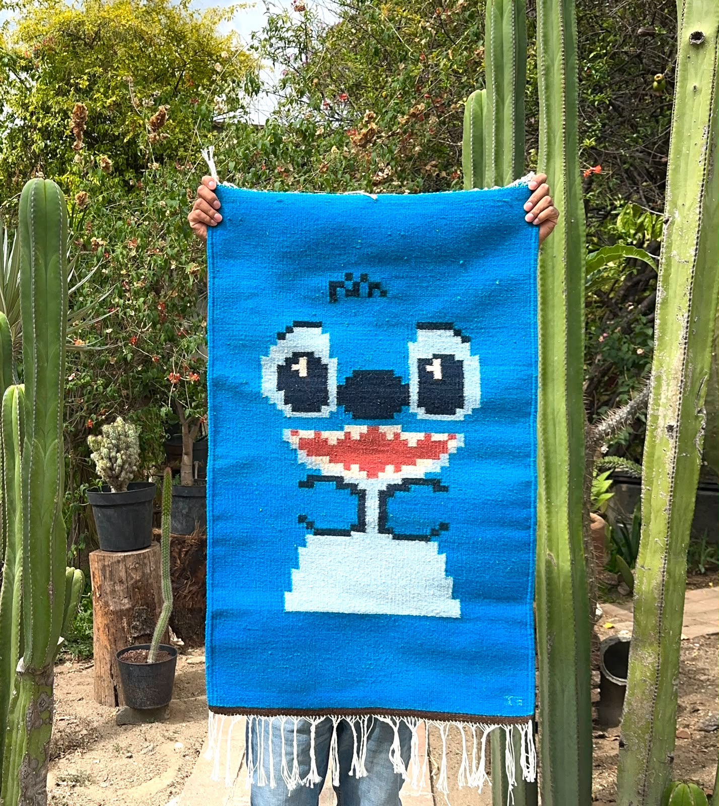 Stitch 60x100 cm