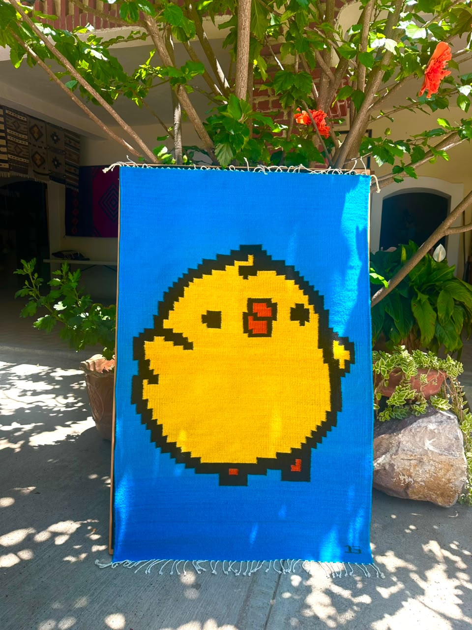 PolliRug 80x120 CM
