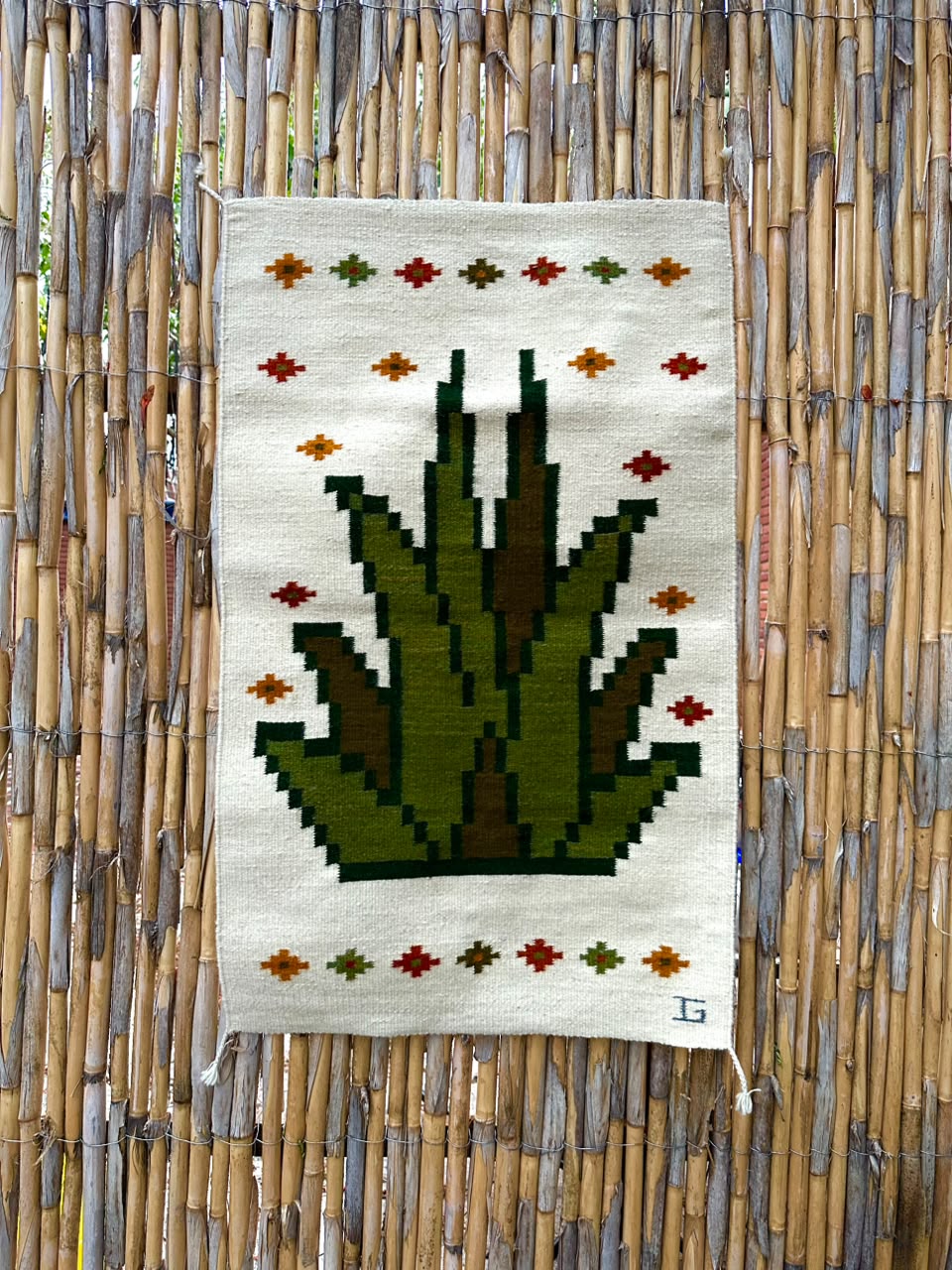 Maguey Zapoteco 60x100 CM