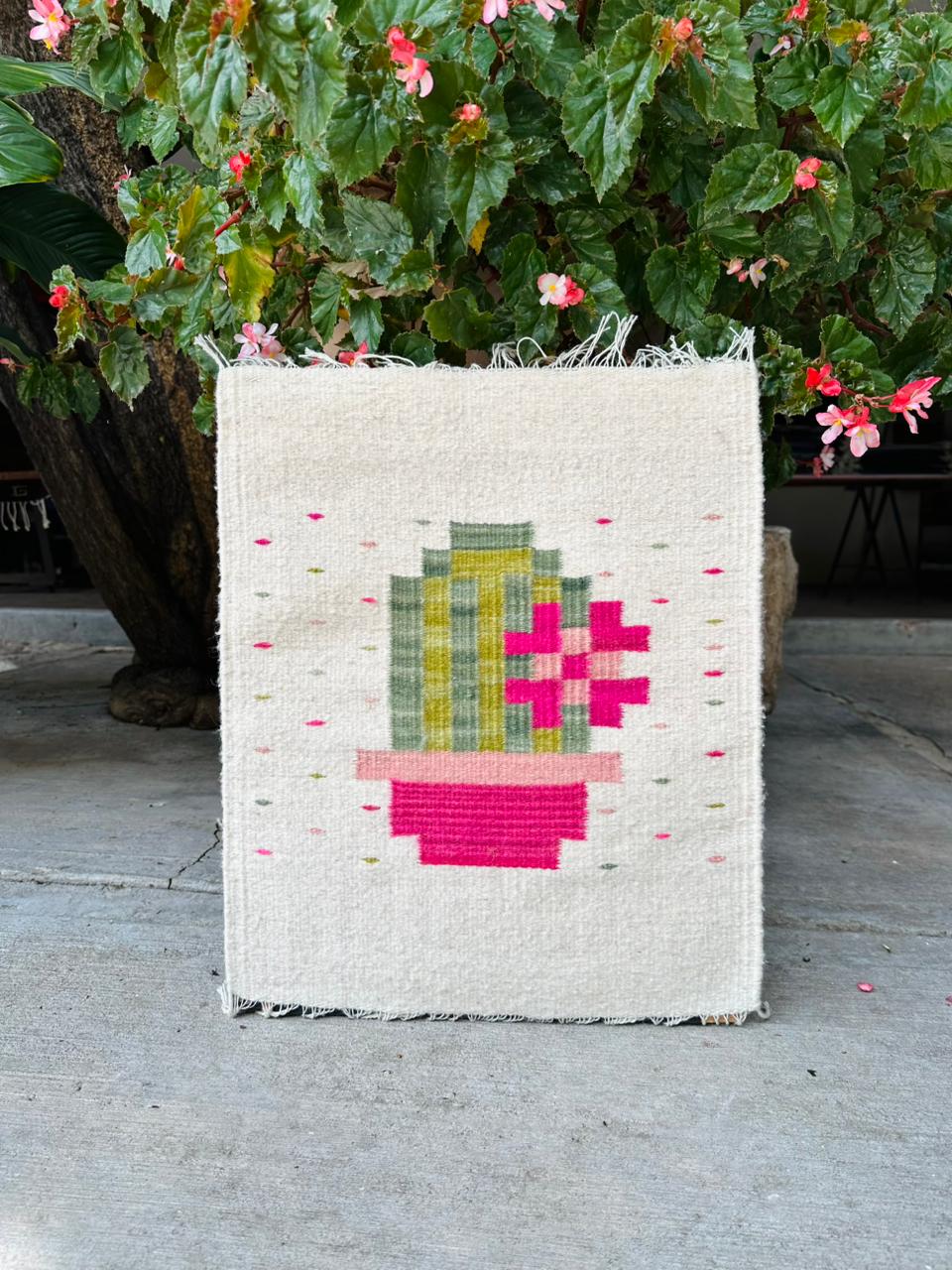 Cactus Rosa 40x50 CM